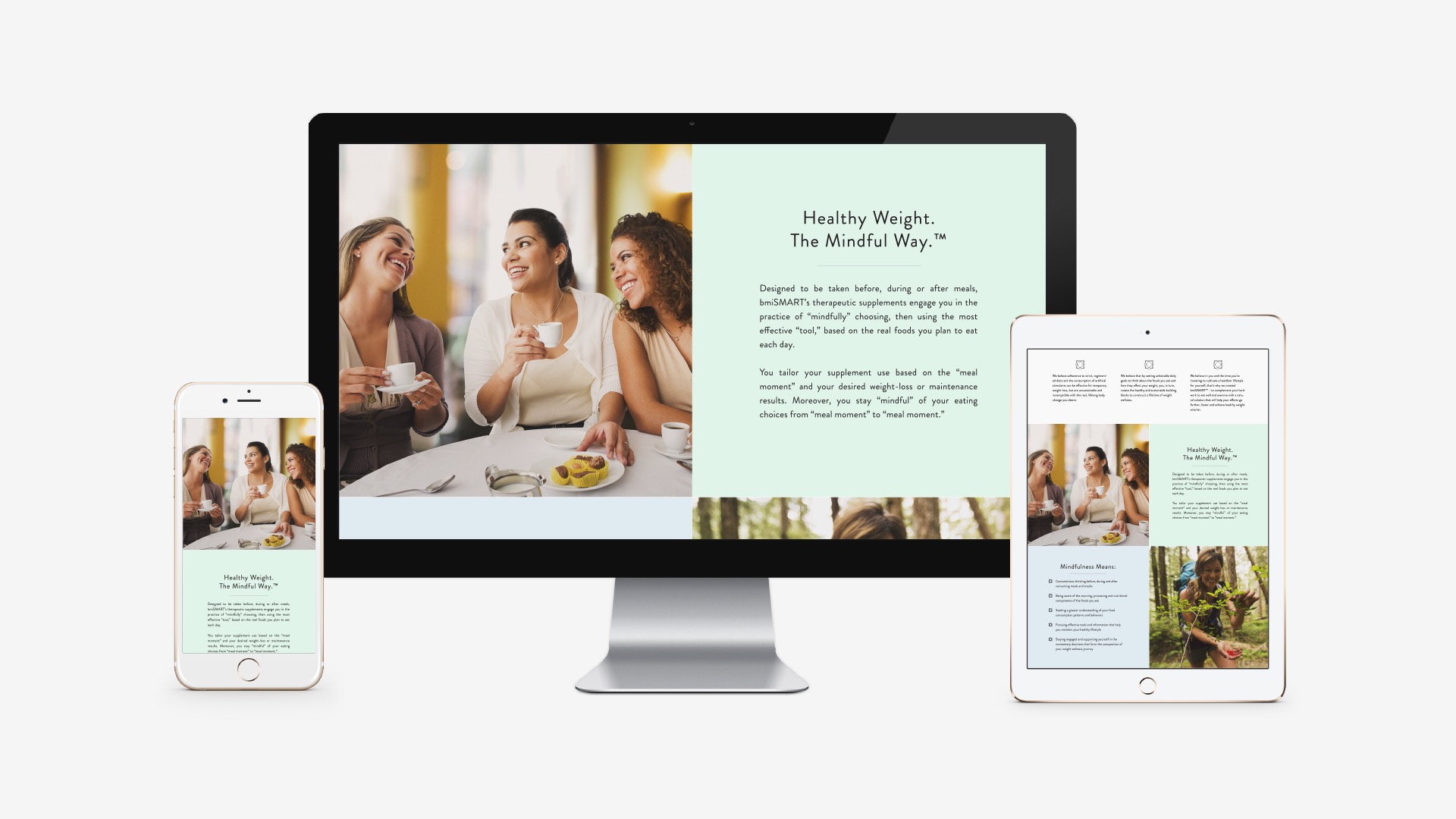 bmiSMART: Responsive Website